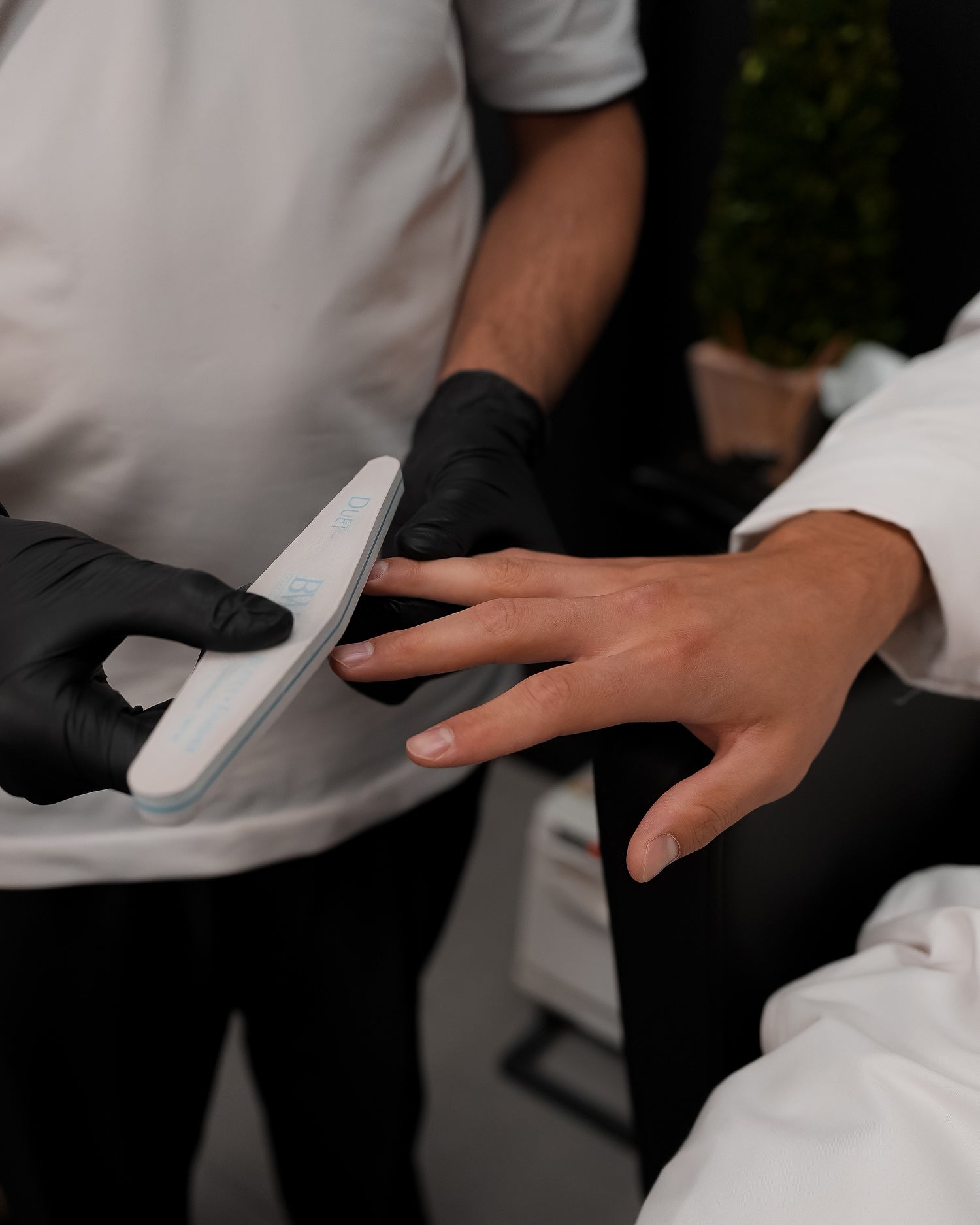 باقة نهاية الصيف