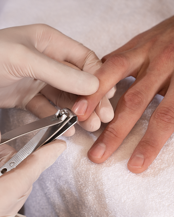 باقة نهاية الصيف