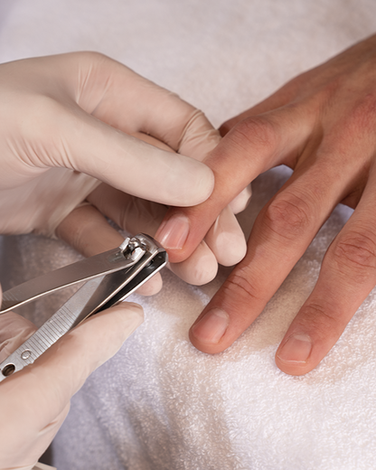 باقة نهاية الصيف