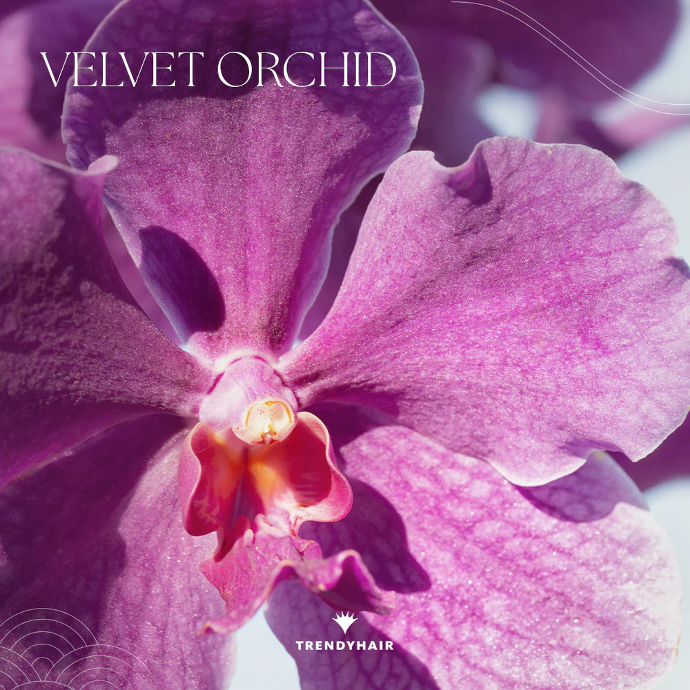 Velvet Orchid Hair Perfume 50 ml
